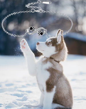 Infinite Symbol Pendant Pet Paw Bracelet with Zirconia